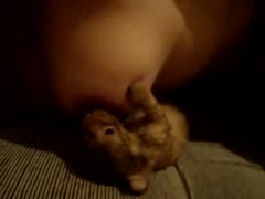In the living room is a tiny animal xxx with a busty whore.